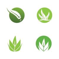 aloe vera logotyp design vektor illustration mall