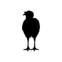 Truthahn Silhouette zum Kunst Illustration, Piktogramm oder Grafik Design Element. das Truthahn ist ein groß Vogel im das Gattung Meleagris. Vektor Illustration