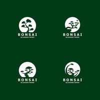 Bonsai Baum Pflanze Vektor Logo Illustration