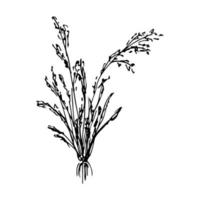 bukett av vild blommor i klotter stil. hand dragen vektor illustration knippa av blommor