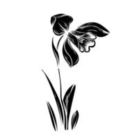 först vår blommor. snödroppar vektor silhuett illustration