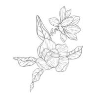 blommig linje konst. magnolia blomma översikt för blommig färg sidor, minimalistisk modern bröllop inbjudningar vektor