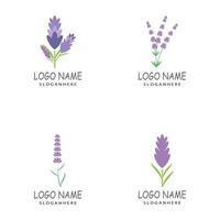 Lavendel Logo Vorlage Vektor Symbol Natur