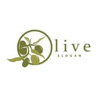 Olive Öl Logo, Olive Blatt Pflanze Kräuter- Garten Vektor, einfach elegant luxuriös Symbol Design Vorlage Illustration vektor