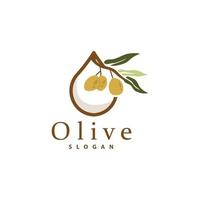 Olive Öl Logo, Olive Blatt Pflanze Kräuter- Garten Vektor, einfach elegant luxuriös Symbol Design Vorlage Illustration vektor