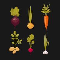 en uppsättning av utsökt grönsaker vektor