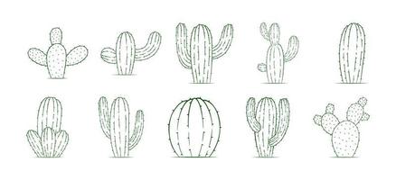 Sammlung von Kaktus Pflanze Vektor Designs