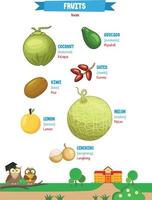 inlärning namn av frukt för barn med söt bilder vektor
