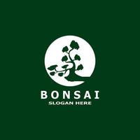 Bonsai Baum Pflanze Vektor Logo Illustration