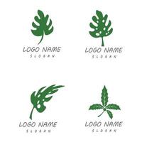 monstera leaf logo vektor design