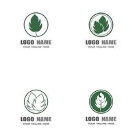 monstera leaf logo vektor design