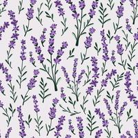 Lavendel nahtlos Muster. modern drucken zum Stoff, Textilien, Verpackung Papier vektor
