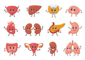 süß intern Organ mit komisch Gesichter. Herz, Magen, Leber, Niere, Lunge, Gehirn, Blase, Gebärmutter. Karikatur gesund Mensch Organe Vektor einstellen
