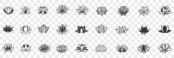 lotus blommor mönster klotter uppsättning. samling av hand dragen naturlig blommig mönster av blomning lotus blommor i rader isolerat på transparent bakgrund vektor