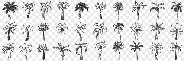 exotisch Palme Bäume Gekritzel Satz. Sammlung von Hand gezeichnet verschiedene Formen und Stile von Süd- exotisch Palme Bäume mit Stämme und Blätter isoliert auf transparent Hintergrund vektor