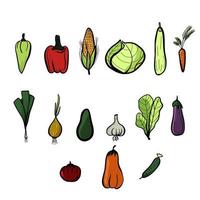 grönsaker ljus uppsättning pumpa och paprika avokado lök gurka vektor