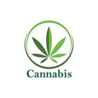 Cannabis Blatt Vektor Symbol Illustration Design