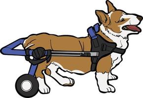 Hund Rollstuhl Haustier Bein Behinderung vektor