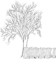skiss av en träd med en staket isolerat på vit bakgrund vektor