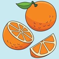 orange frukt färgad tecknad serie illustration vektor