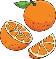 Orange Obst Karikatur farbig Clip Art Illustration vektor
