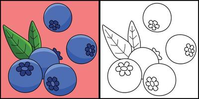 Blaubeere Obst Färbung Seite farbig Illustration vektor