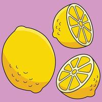 Zitrone Obst farbig Karikatur Illustration vektor