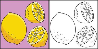 Zitrone Obst Färbung Seite farbig Illustration vektor