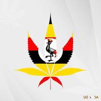 flagga av uganda i marijuana blad form. de begrepp av legalisering cannabis i uganda. vektor