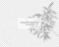 Schattenüberlagerungseffekt. natürliche Schatten lokalisiert auf transparentem Hintergrund. Vektorillustration. vektor