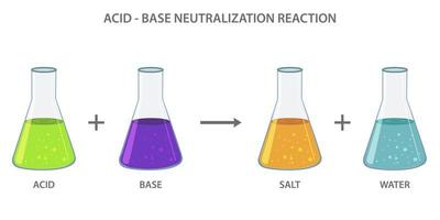 Acid Base Neutralisation Reaktion produzieren ein Salz- und Wasser Vektor Illustration