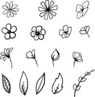 linjär botanisk element blommor och löv vektor