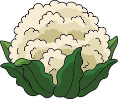 blomkål vegetabiliska tecknad serie färgad ClipArt vektor