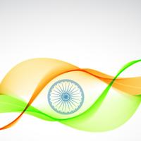 eleganter indischer Flaggenentwurf vektor