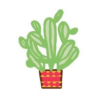 kaktus Hem saftig växt vektor