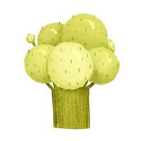 broccoli. söt broccoli för ungar. söt tecknad serie stil Lycklig och grön broccoli. hand målad broccoli mat illustration vektor