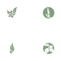 Eukalyptus hinterlässt Logo-Vorlagen vektor