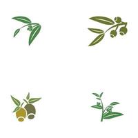 Eukalyptus hinterlässt Logo-Vorlagen vektor