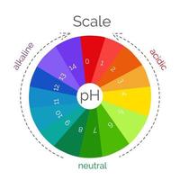 runda ph skala för mätning syra alkalisk balans. kemisk värde testa. infographics med indikator Diagram. vektor illustration