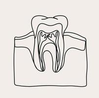 minimalistisk tandläkare linje konst, tänder översikt teckning, dental kontor, enkel skiss, vektor design