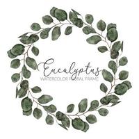 akvarell eukalyptus blad cirkel krans ram vektor