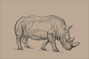 skiss av noshörning vektor