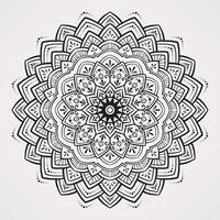 Mandala Motive Mischung von luxuriös königlich Nuancen vektor