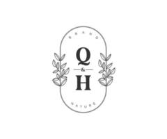 Initiale qh Briefe schön Blumen- feminin editierbar vorgefertigt Monoline Logo geeignet zum Spa Salon Haut Haar Schönheit Boutique und kosmetisch Unternehmen. vektor