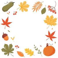 Herbstrahmen mit Blättern, Kürbissen und Eicheln. flache vektorillustration. vektor