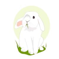 vit kanin på gräset vektor