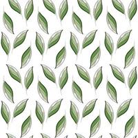 modern sömlös blommig mönster, ritad för hand grön löv på en vit bakgrund. ett elegant mall för modern grafik. vektor