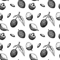 handritad sömlösa mönster med litchifrukter, grenar och löv. vektorillustration i botanisk skissstil vektor