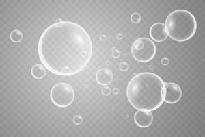 bunt Seife Blasen. isoliert, transparent, realistisch Seife Blasen. vektor