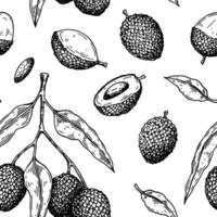 handritad sömlösa mönster med litchifrukter, grenar och löv. vektorillustration i botanisk skissstil vektor